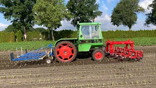 HENGERS.NL Deutz Intrac 2003 met Steketee EC weeder 5 en Treffler in de maïs