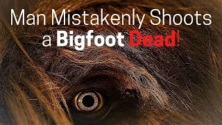 SAROY SHORT STORIES Bigfoot Shooting Murder Mystery & Terrifying Disturbing Stories ASMR