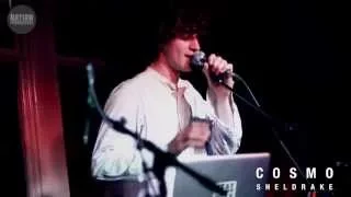 Cosmo Sheldrake - Tardigrade Song (First Ever Live Performance)