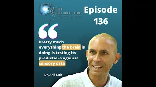 A psychedelic trip into the mind with Dr. Anil Seth
