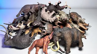 Animals - Prehistoric Tigers, Elephants Crocodiles, Sloth, Bears, Woolly Mammoth,  Deinotherium