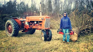 SKIDDING WHOLE TREES WITH SOME ANTIQUE BIG TRACTOR POWER & THE RETURN OF CHINESE CHAINSAW!!!!