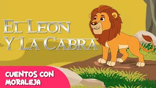 El León y La Cabra | Cuentos educativos con moraleja para niños