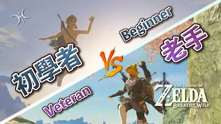 【曠野之息】10個「曠野新手」和「曠野老手」的差異（Top 10 Differences between a BoTW Beginner & Veteran）