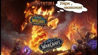 🔴 #WoWClassic /ПЛАМЕГОР/ Верхняя Часть Пика Черной Горы! UBRS!