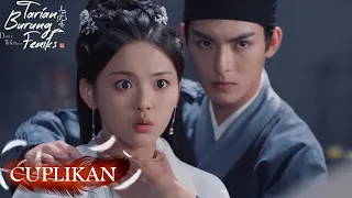 Dance of the Phoenix | Cuplikan EP14 Saat Ketahuan Oleh Linyuan | 且听凤鸣 | WeTV 【INDO SUB】