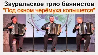 "Под окном черёмуха колышется" обр. Н.Малыгина Исп. Зауральское трио баянистов