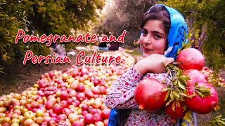 Pomegranate Harvest Season Celebrated in Iran’s Yazd