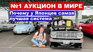 №1 АУКЦИОН В МИРЕ: Почему у японцев идеальная система аукционов в мире? Автомобили из Японии