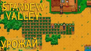 Первый Большой Урожай - Stardew Valley #5