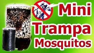Mini trampa casera para mosquitos y zancudos Cómo hacer