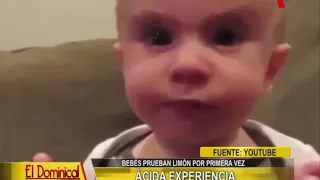 Hilarantes gestos cuando los bebés prueban el limón por primera vez