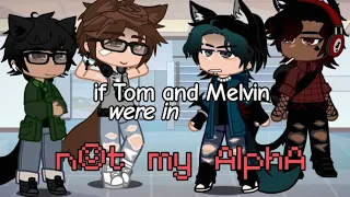 If Tom & Melvin were in Not my Alpha || GCMM