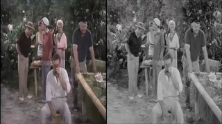 Gilligan's Island: Black & White & Color Comparison