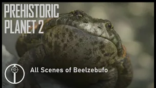 Prehistoric Planet 2 all scenes of Beelzebufo