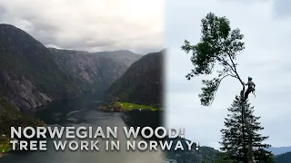 NORWEGIAN WOOD! Tree Work in Norway!