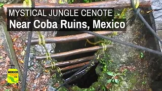 Hidden Jungle Cenote - Punta Laguna Nature Reserve, Coba Mexico