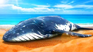 Warum stranden Wale?
