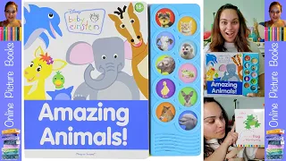 Disney Baby Einstein Amazing Animals! book | Online Picture Books | Kids Books Online