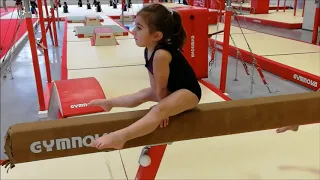 Gymnastique Filière Performance 2014 à 2011 - Novembre 2018