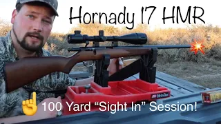 Hornady 17 HMR V-Max (Sight In) at 100 Yards