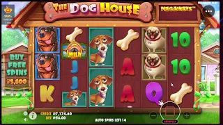 THE DOG HOUSE MEGAWAYS ВЫБИВАЮ БОНУСКИ САМ 🔥🔥🔥