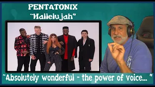 Old Composer REACTS to Pentatonix Hallelujah World Contemporary Music Reactions