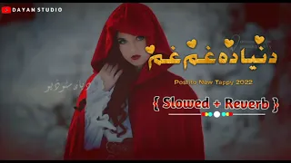 Pashto New Songs | Slowed Reverb |2022 | ‎@Lewanymusic696