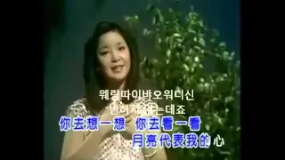 월량대표아적심 (月亮代表我的心) - 첨밀밀 OST  등려군 (鄧麗君)