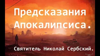 Предсказания Апокалипсиса. Сквозь вопль человеческого отчаяния. Святитель Николай Сербский.