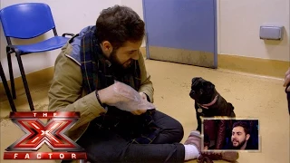 It's a pug's life for Andrea | The Xtra Factor UK | The X Factor UK 2014