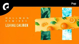 Loving Caliber feat. Mia Pfirrman - Say We're Sorry (Hallman Remix)