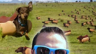 Rich React - HEINZ "Wiener Stampede" Hot Dog Super Bowl Commercial Reaction