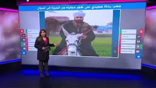 رحلة صعيدي على ظهر حمارته من الجيزة إلى أسوان تثير جدلا في مصر