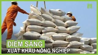 Xuất khẩu nông lâm thủy sản tăng mạnh | VTC16