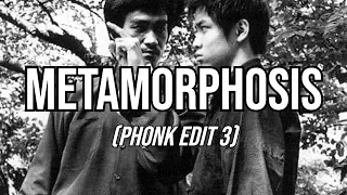 BRUCE LEE - METAMORPHOSIS [PHONK EDIT 3]