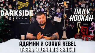 НОВЫЕ ВКУСЫ ОТ DAILY HOOKAH И DARKSIDE | АДАМИЙ И GUAVA REBEL #shorts