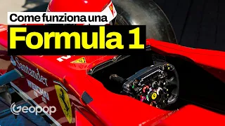 Come funziona un'auto di Formula 1 - la spettacolare anatomia in 3D per capire gli aspetti tecnici