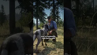 The Sad Fate Of Arthur Morgan's Pet Dog 😥 #rdr2 #shorts