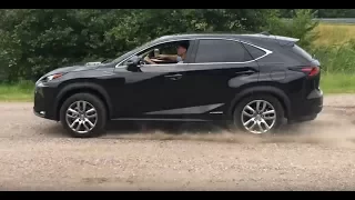 Lexus NX 300h - дешевка за большие деньги!