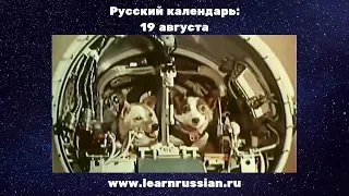 Russian Calendar with Stanislav: August the 19th, The Space Dogs