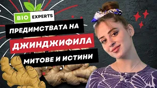 Какво лекува джинджифила? Истини и митове за джинджифила! Джинджифил ползи!