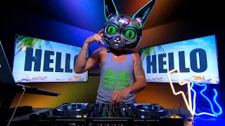 Electro Cat´s Friday Live Session #9 - Hello Summer MIX  [DeepHouse , High-Tech Minimal , Techno]