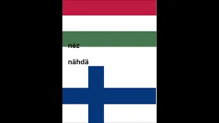 Hungarian - Finnish cognates (related vocabulary)