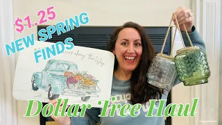 SPRING DOLLAR TREE HAUL | $1.25 BRAND ✨NEW✨ FINDS!