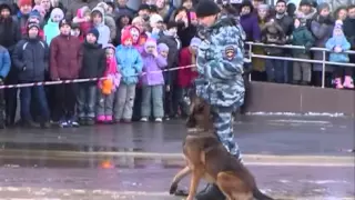 Полицейские Смоленской области провели показательные выступления в  канун 23 февраля