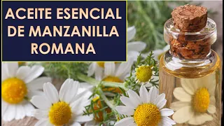 ACEITE ESENCIAL DE MANZANILLA ROMANA. BENEFICIOS E INCONVENIENTES