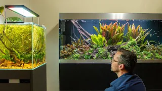 BIOTOPE VS NATURE AQUARIUM AQUASCAPES