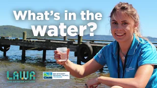 Swim water sampling for toxic algae (cyanobacteria) in Bay of Plenty lakes