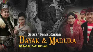 DAYAK & MADURA - Sejarah Persaudaraan Suku Suku Di Nusantara